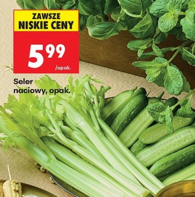 Seler naciowy promocja w Biedronka