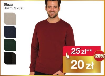 Bluza męska promocja w Woolworth