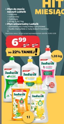 Płyn do mycia naczyń miętowy promocja w Netto