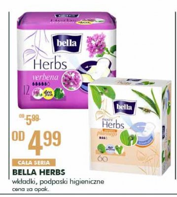 Wkładki plantago Bella panty herbs promocja