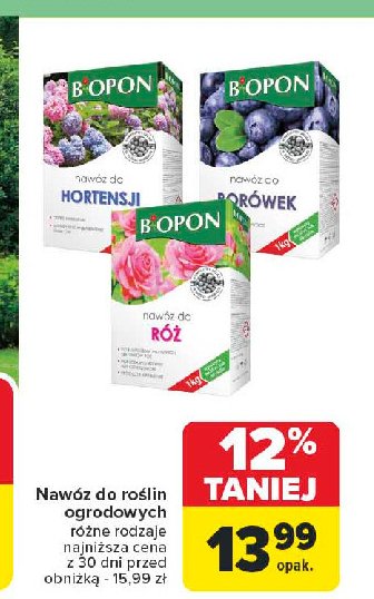 Nawóz do róż Biopon promocja w Carrefour