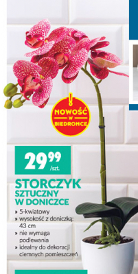 Storczyk sztuczny wys. 43 cm promocja
