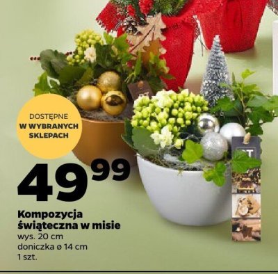Kompozycja świąteczna w misie promocja w Netto