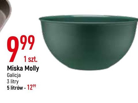 Miska molly 5 l Galicja promocja