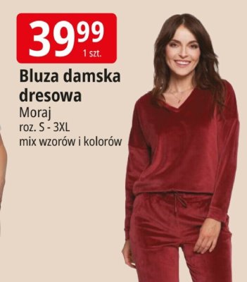 Bluza damska dresowa Moraj promocja w Leclerc