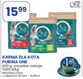 Karma dla kota adult wo艂owina i pe艂ne ziarna Purina one promocja