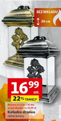 Katedra drzewo różne kolory promocja w Auchan