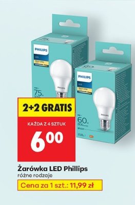 Żarówka LED Philips promocja w Biedronka