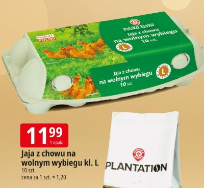 Jaja z chowu na wolnym wybiegu kl. L promocja w Leclerc