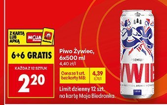 Piwo promocja w Biedronka
