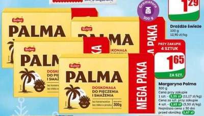 Margaryna Palma promocja w Dino