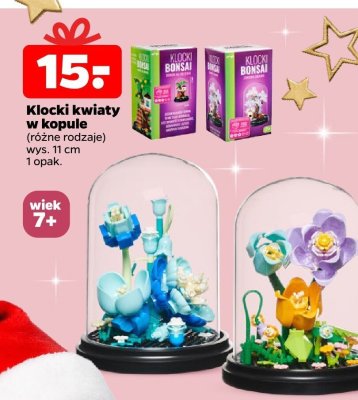 Klocki kwiaty w kopule 15 cm różne rodzaje promocja w Netto