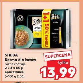 Karma dla kota smaki drobiowe Sheba promocja