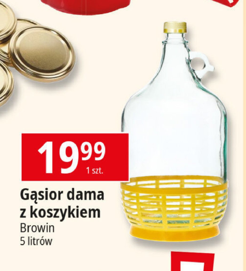 Gąsior dama w koszyku 5 l Browin promocja