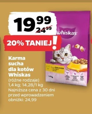 Karma sucha dla psów Whiskas promocja w Netto