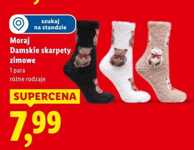 Skarpety zimowe damskie Moraj promocja w Lidl