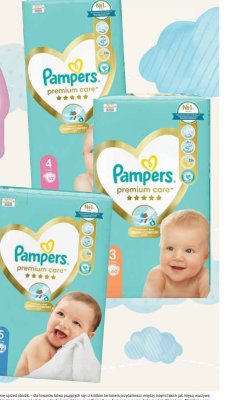 Pieluchy Pampers Premium Care 3 promocja w Stokrotka
