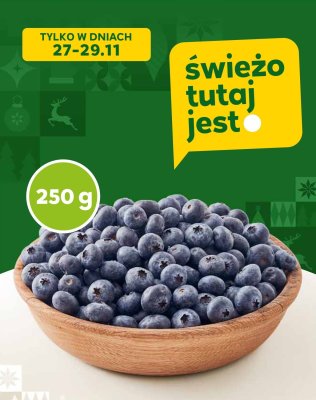 Borówka amerykańska promocja w Stokrotka