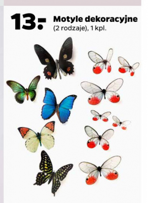 Motyle dekoracyjne promocja