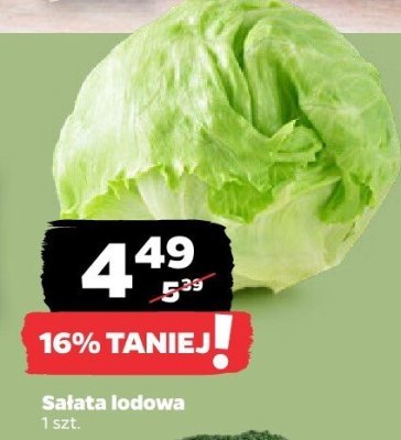 Sałata lodowa 1 szt. promocja w Netto