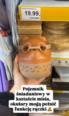 Pojemnik śniadaniowy miś promocja w Dino