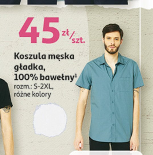 Koszulka męska gładka s-xxl Auchan inextenso promocja