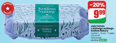 Jaja świeże z wolnego wybiegu Kotlina Natury rozmiar L promocja w Dino