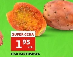 Figa kaktusowa promocja