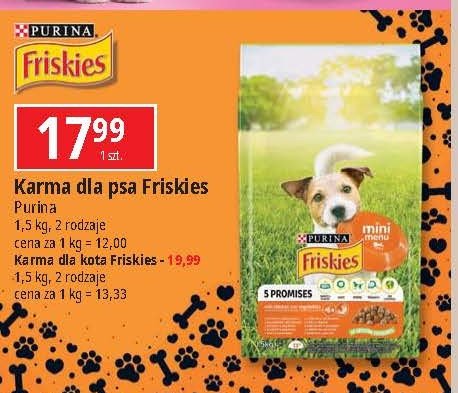 Karma dla kota Friskies indoor Purina friskies promocja