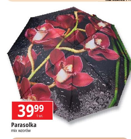 Parasolka promocja