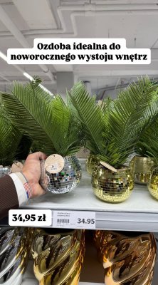 Roślina disco srebrna/złota promocja w Action