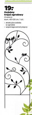 Treja偶 40 x 120 cm promocja