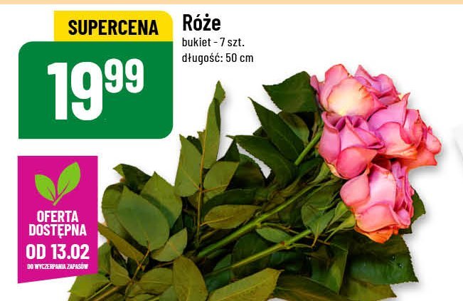 Róże bukiet 50 cm promocja