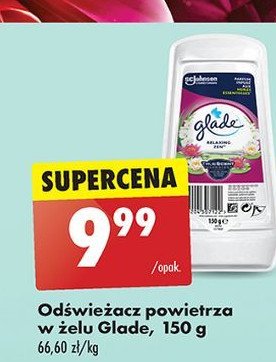 Odświeżacz w żelu japoński ogród Glade by brise promocja