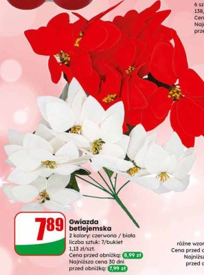 Gwiazda betlejemska promocja w Dino