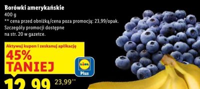 Borówki amerykańskie promocja w Lidl