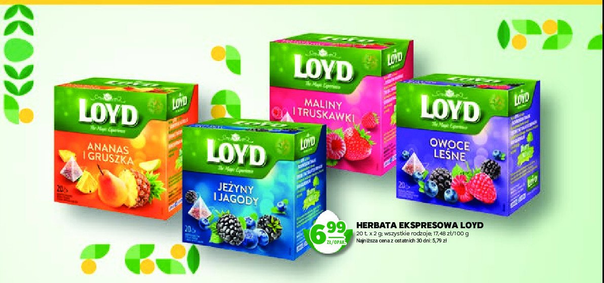 Herbata jeżyny i jagody Loyd tea the magic experience promocja