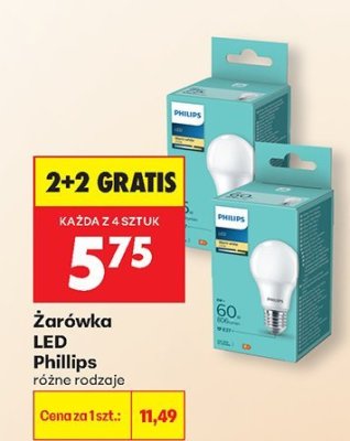 Żarówka LED Philips różne rodzaje promocja w Biedronka