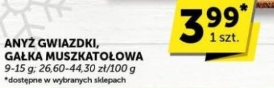 Anyż gwiazdki promocja w Euro Sklep