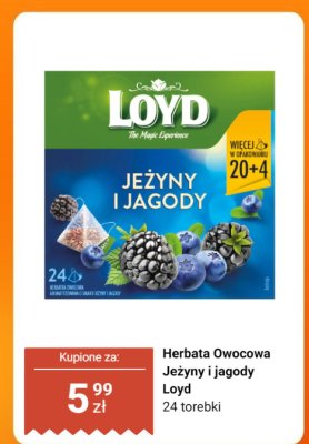 Herbata owocowa Jeżyny i jagody Loyd promocja w Dino