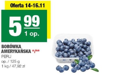 Borówka amerykańska promocja w SPAR