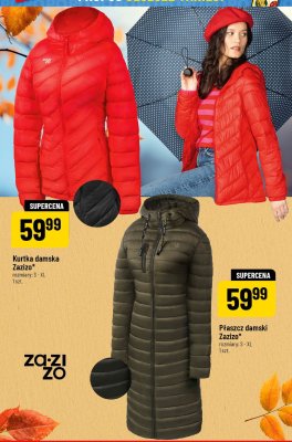 Kurtka damska Zazizo rozmiary: S - XL promocja w POLOmarket