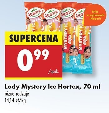L贸d czajnik Hortex mystery ice promocja