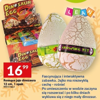 Rosnące jajo dinozaura 12 cm, 1 opak. promocja w Twój Market