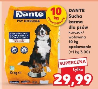 Sucha karma dla psów promocja w Kaufland