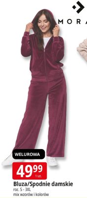 Bluza/Spodnie damskie Moraj promocja w Leclerc