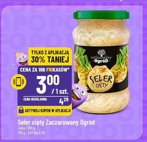 Seler cięty Zaczarowany ogród promocja