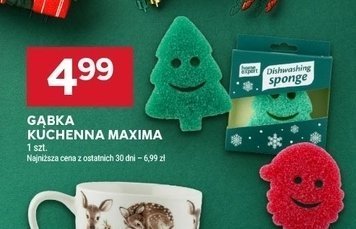 Gąbka kuchenna Maxima promocja w Stokrotka