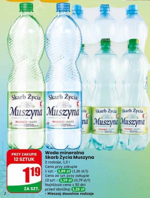 Woda mineralna Muszyna gazowana promocja w Dino