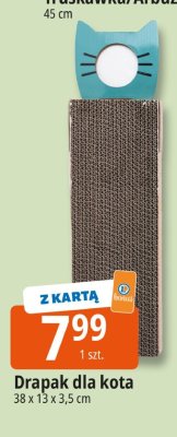Drapak dla kota 38 x 13 x 3,5 cm promocja w Leclerc